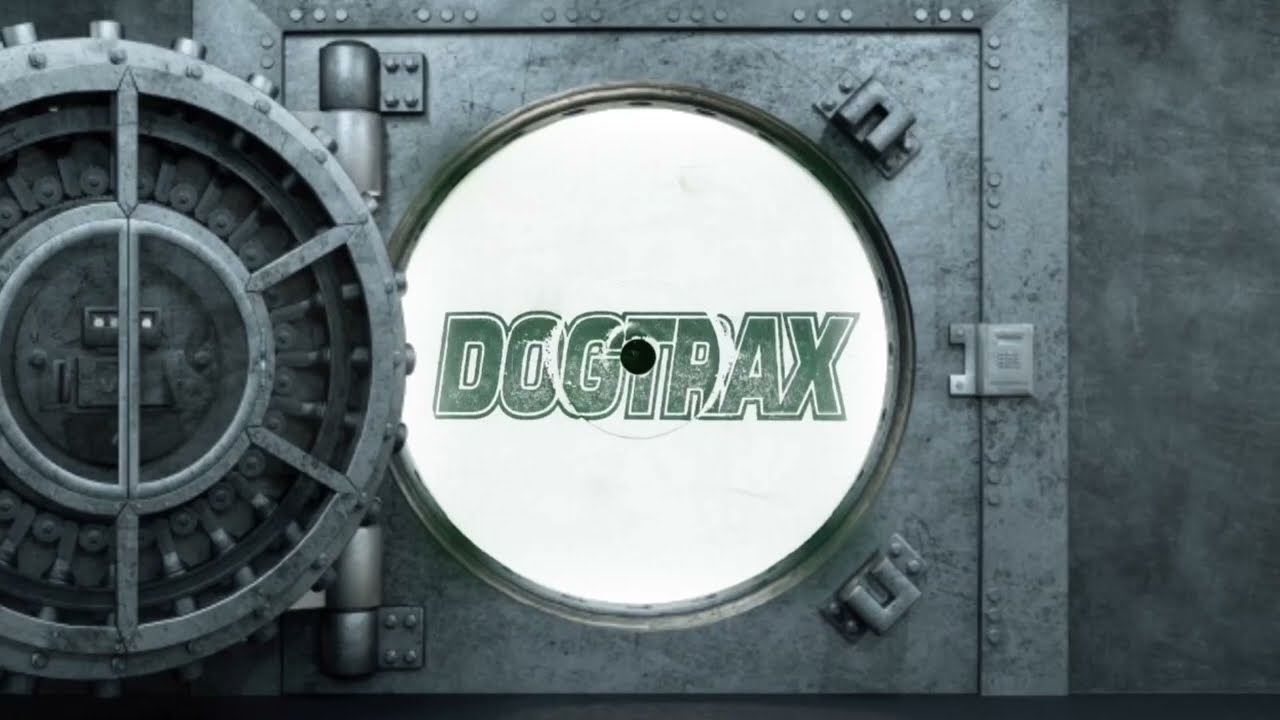 Dogtrax-In to deep (Last Night A DJ Saved My Life)remix