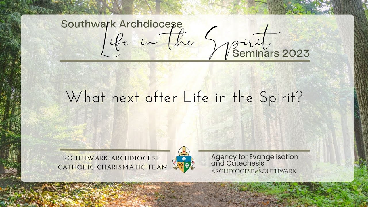 What Comes Next After Life in the Spirit Seminars?