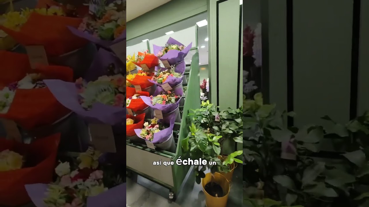 Dar GRACIAS en ESPA&Ntilde;A 💐 &iquest;CU&Aacute;NTO CUESTA UN REGALO EN ESPA&Ntilde;A? ​​