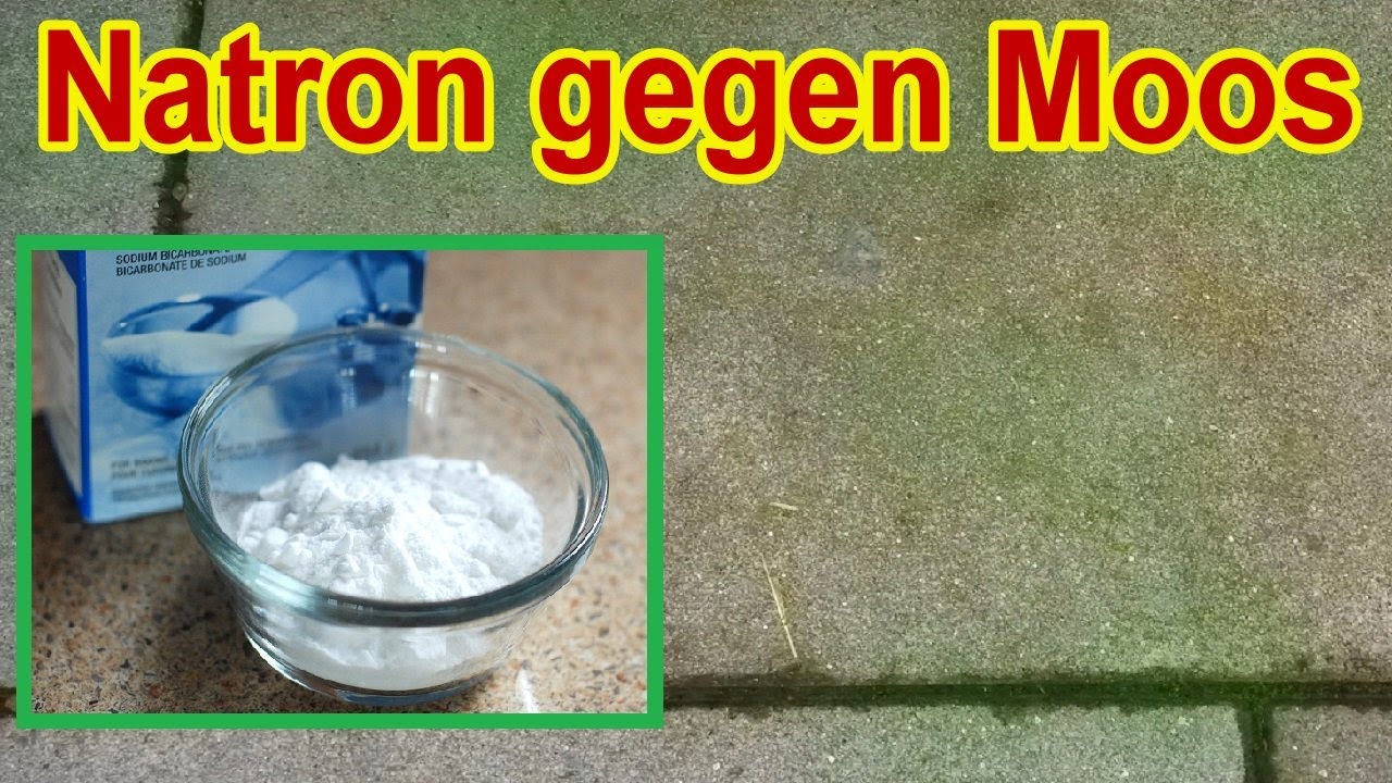 Natron gegen Gr&uuml;nbelag 😮 Wie du mit Backpulver Moos auf Pflastersteinen effektiv entfernst!