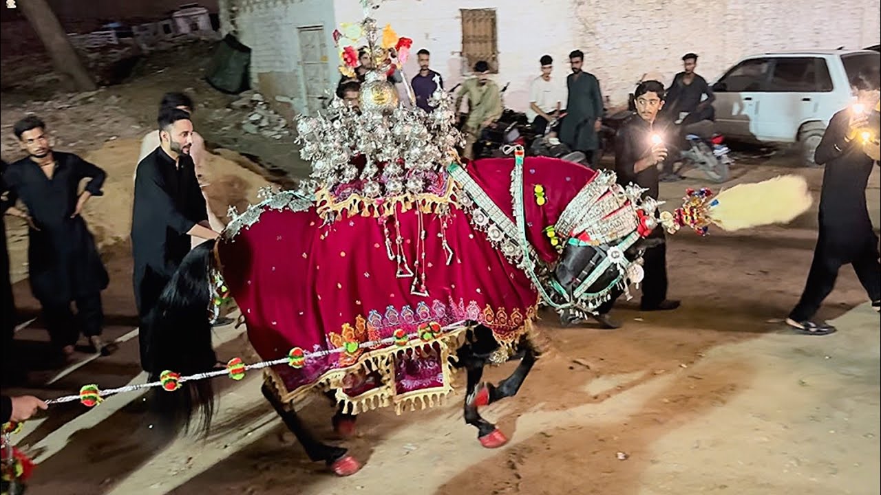 Zeeshan Hashmi Ka Pir | 03 Saffar 1446/2024 | Dadan Shah Colony Hyderabad Sindh