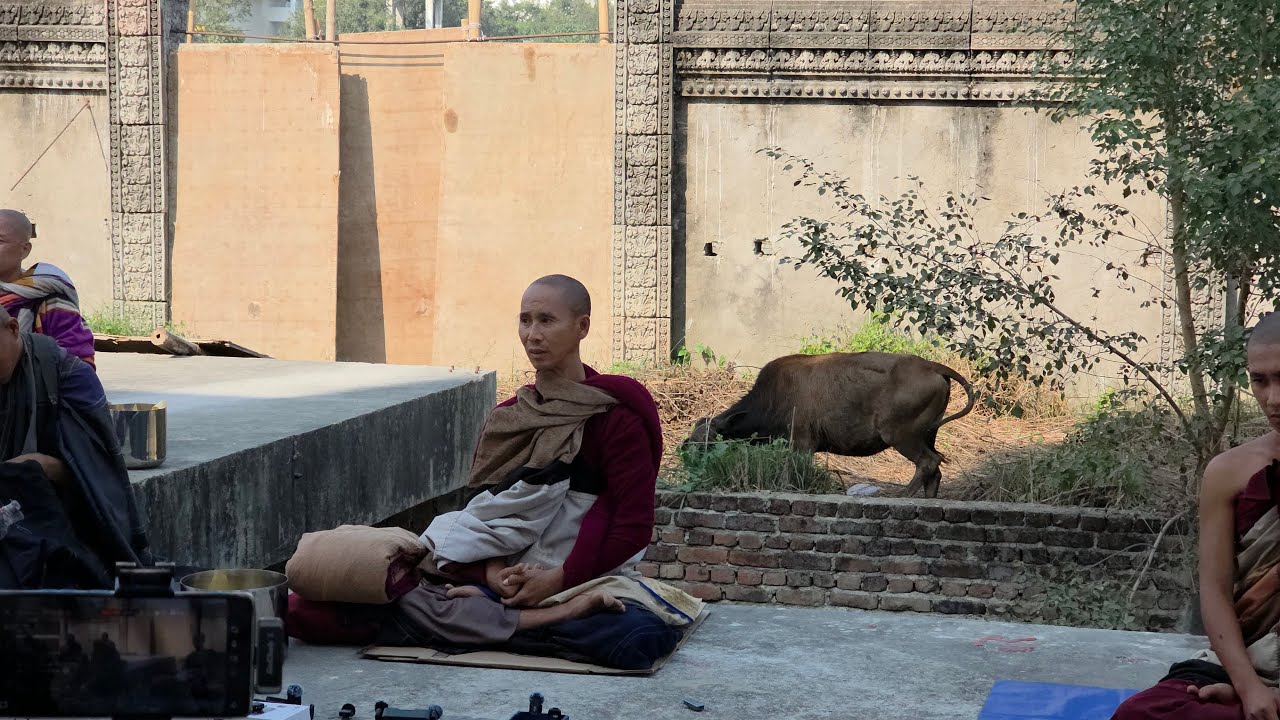 TỐI 29_1 CHUYỆN BÂY GIỜ MỚI TIẾT LỘ