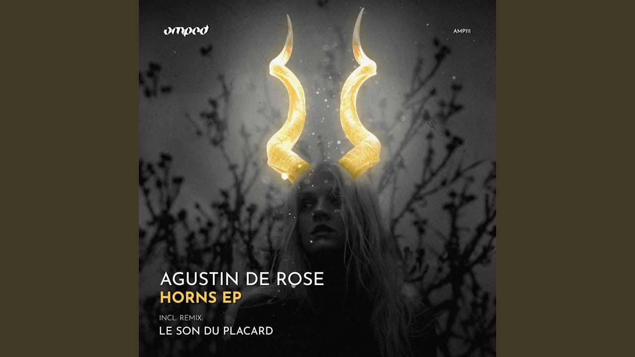 Isn't Real (Le Son Du Placard Remix)