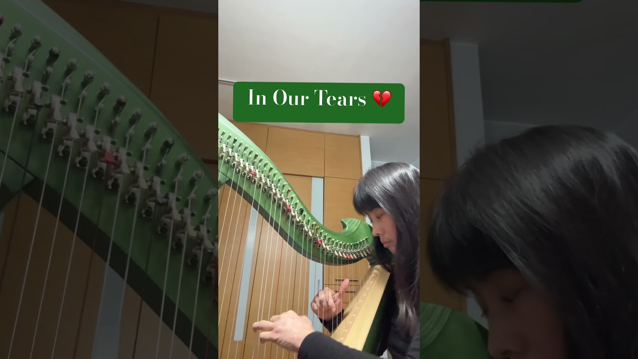 In Our Tears by Secret Garden harp cover 
