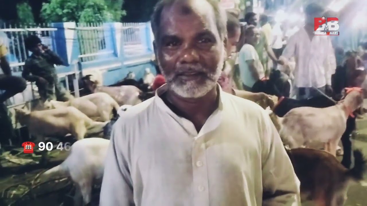 Asansol Bakra Mandi Mei Aya Beautiful Hansha Goat #viral #goat  #viral #bakraeid #qurbani #trending