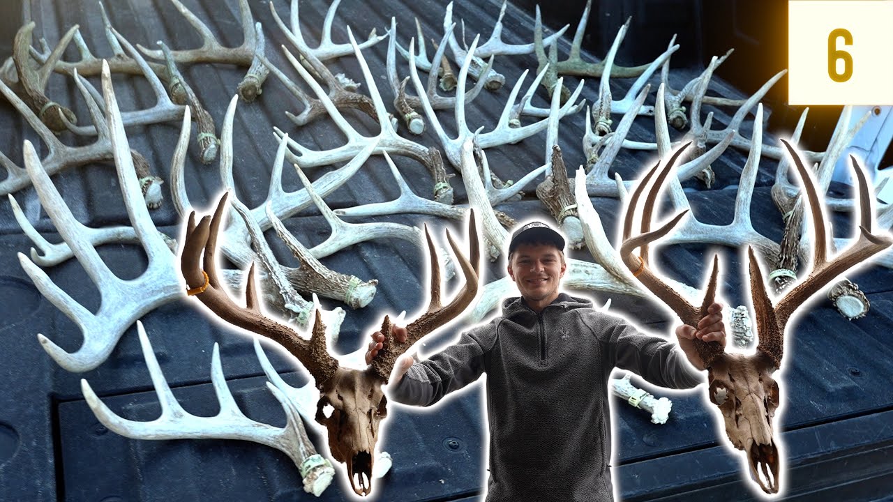 Find BIG Bucks, HUGE 3-Point and 35 Antlers! // Shed Hunting 2025 E6