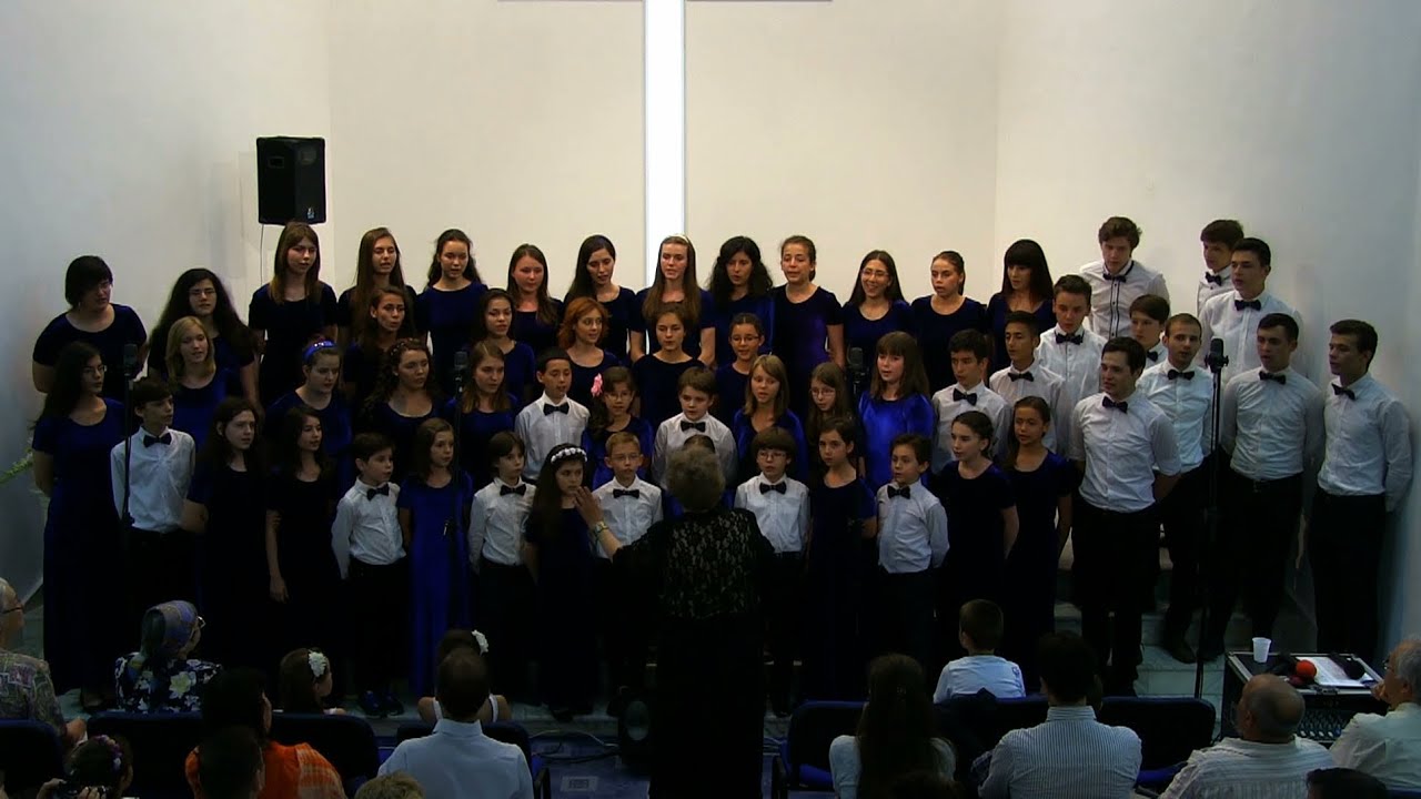 Concert Flori si Stele