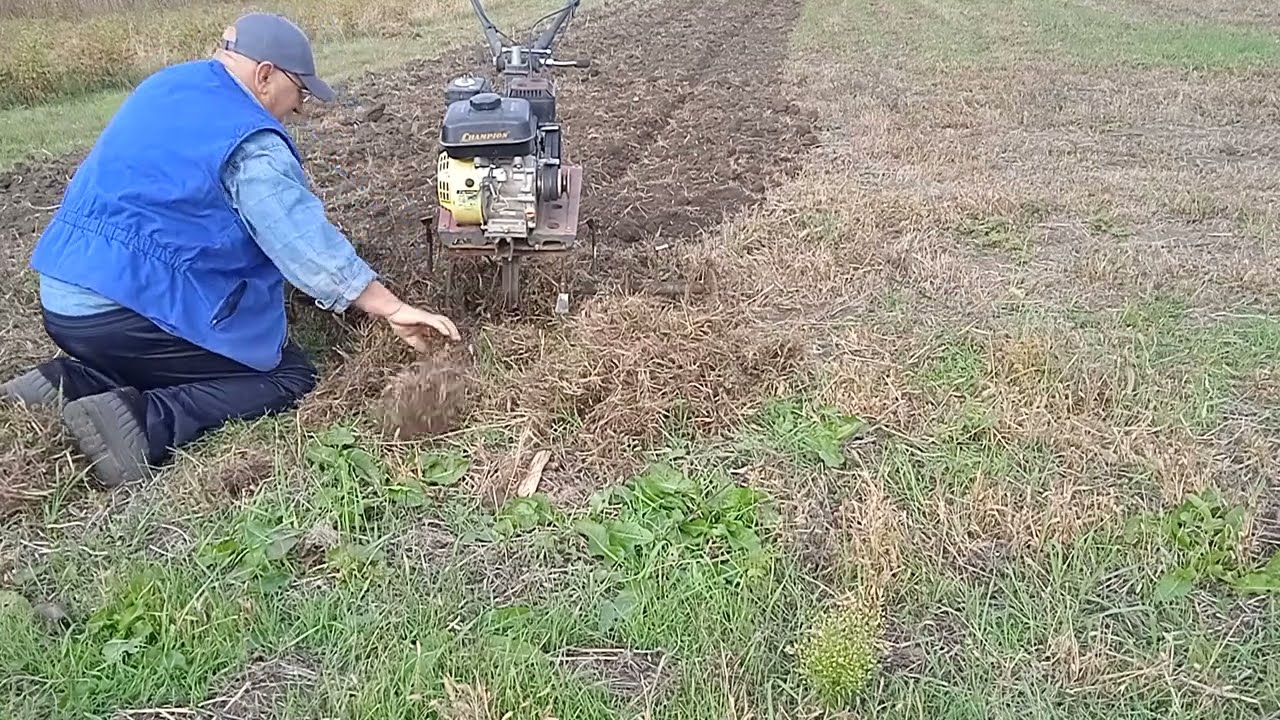 Самодельная фреза по целине
