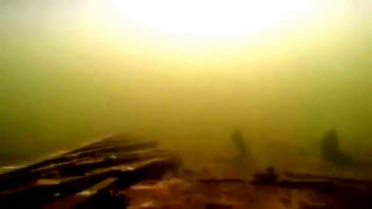 Zerek Live Flash Minnow Wriggly