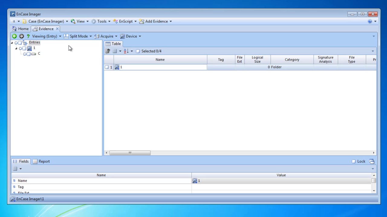 EnCase Forensic Imager buffer overflow vulnerability