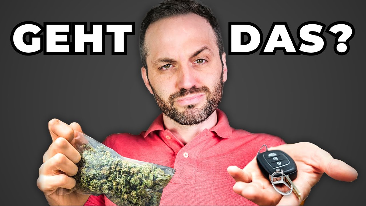 Cannabis: Die 10 wichtigsten Antworten (Auto fahren, Balkon, Ernte)