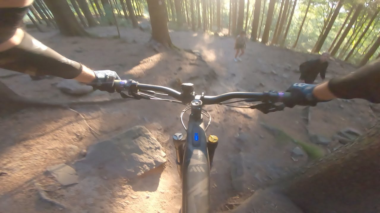 Falknerei Leitplanke Wäldchen Gaisberg