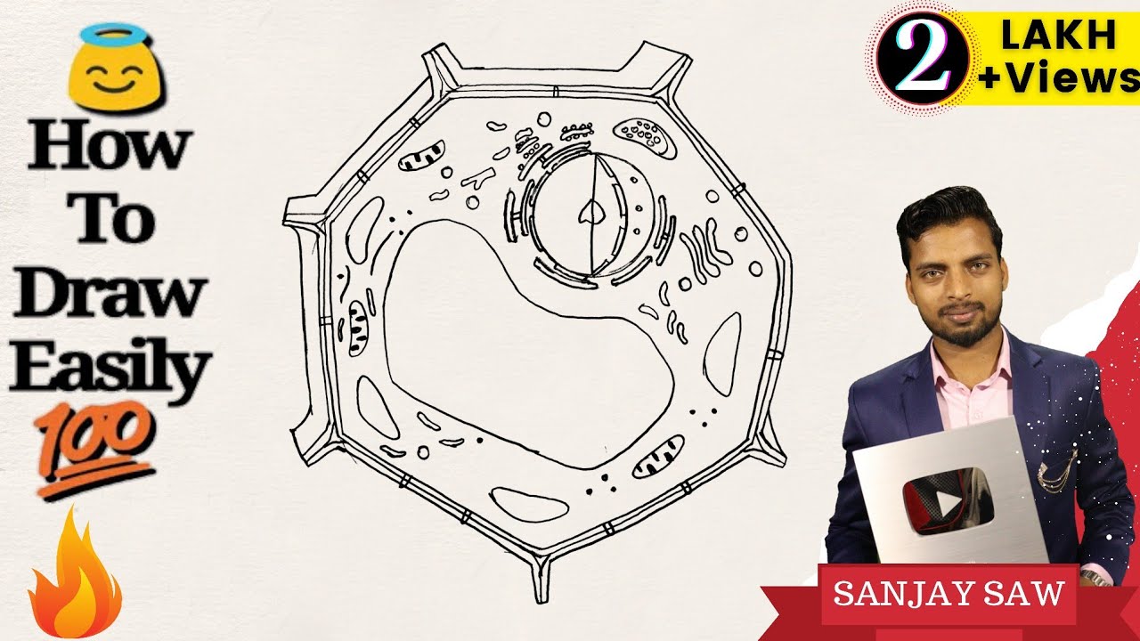 How to Draw Plant Cell step by step for beginners !