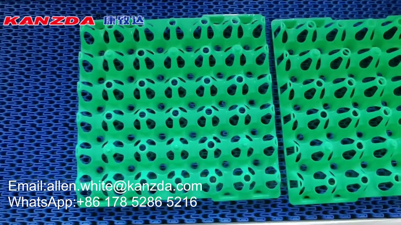 The Cleaning Effect Of Egg Tray Washer