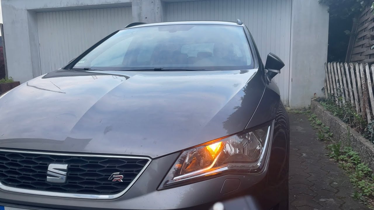 ASMR🦦 Car🚘 Seat Leon FR (Scratching)
