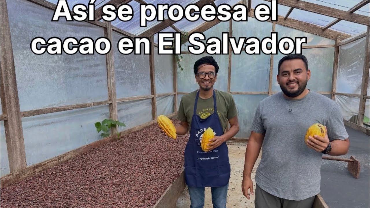 Así hacemos el chocolate en El Salvador 🇸🇻 