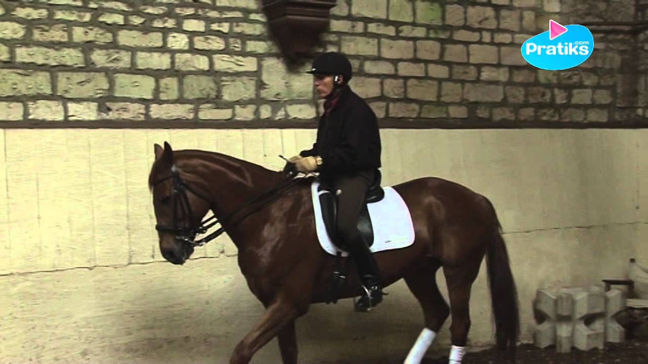 Equitation - Le reculer