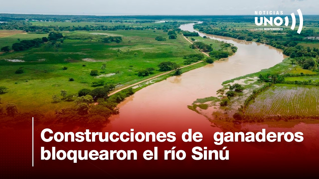 Construcciones de ganaderos en Córdoba pudieron haber provocado la tragedia invernal | Noticias UNO