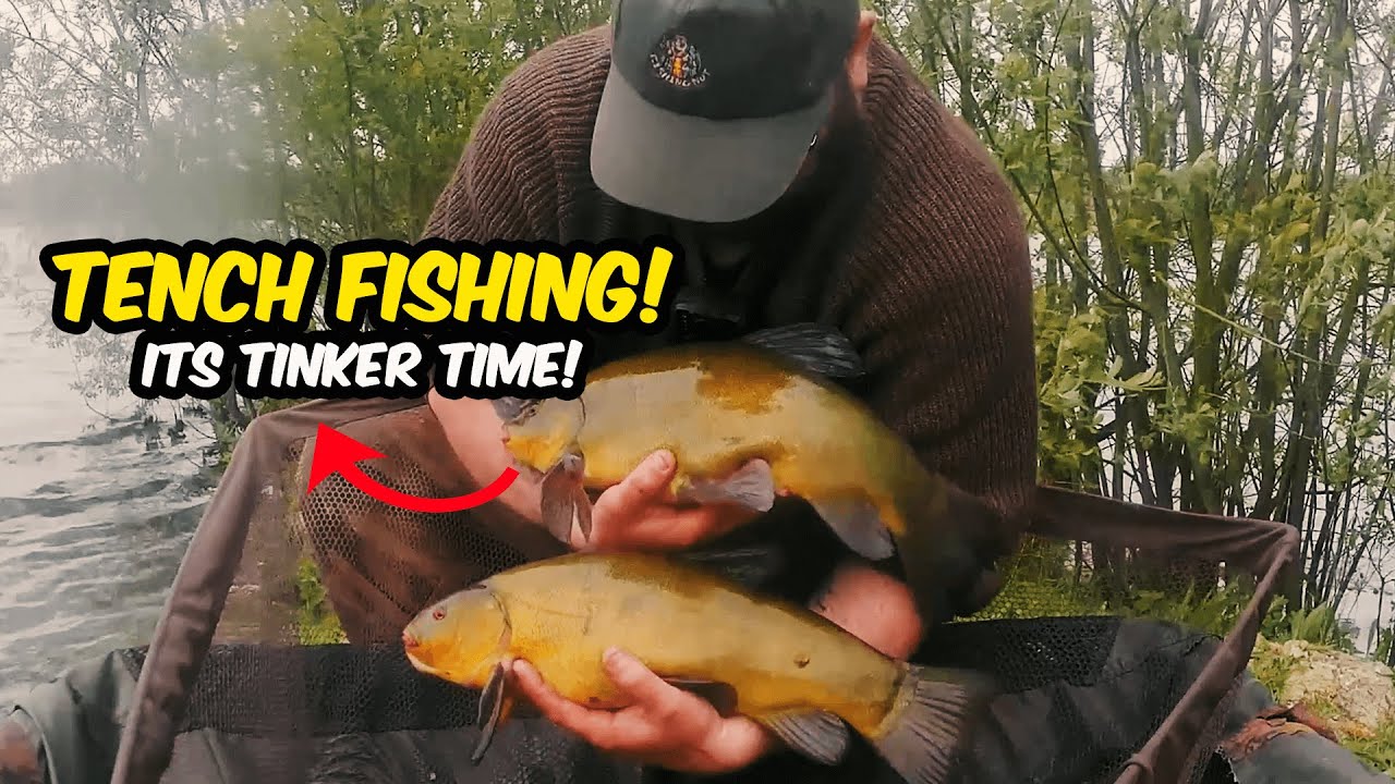 Tinker Time at Hibaldstow Lakes | Hibaldstow Lake FIshing