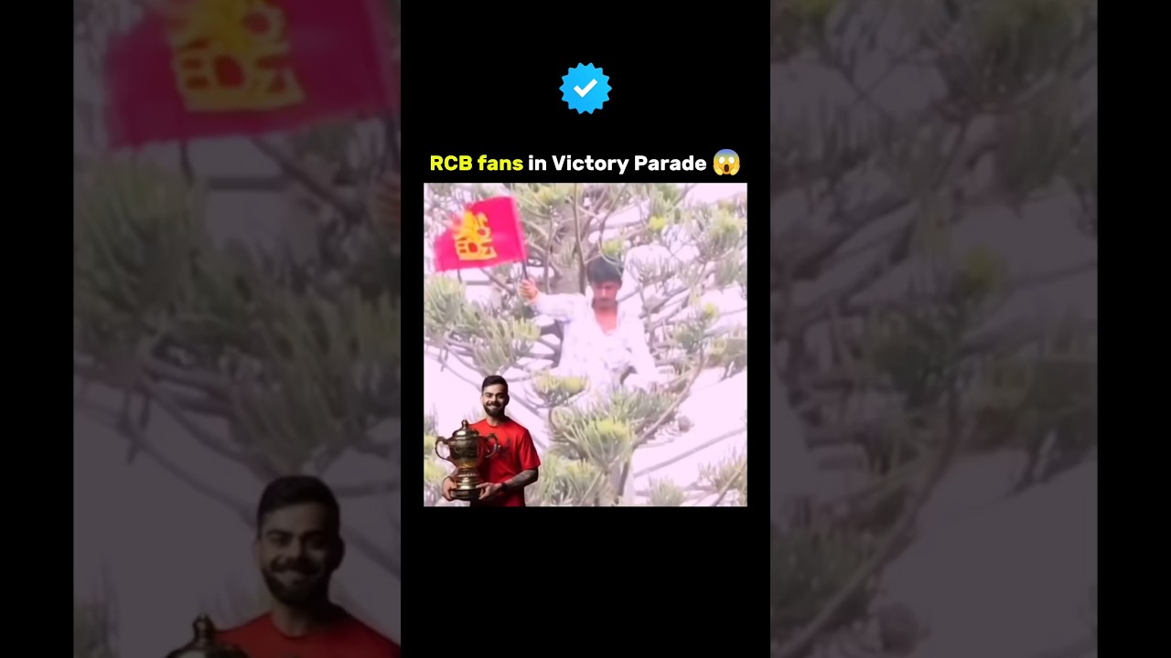 RCB Fan Climbs Tree During Victory Parade 🤯 | IPL 2024 Celebrations!