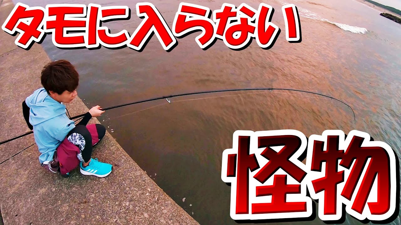 投げ釣りでタモに入らない巨大生物が掛かった結果【茨城県】