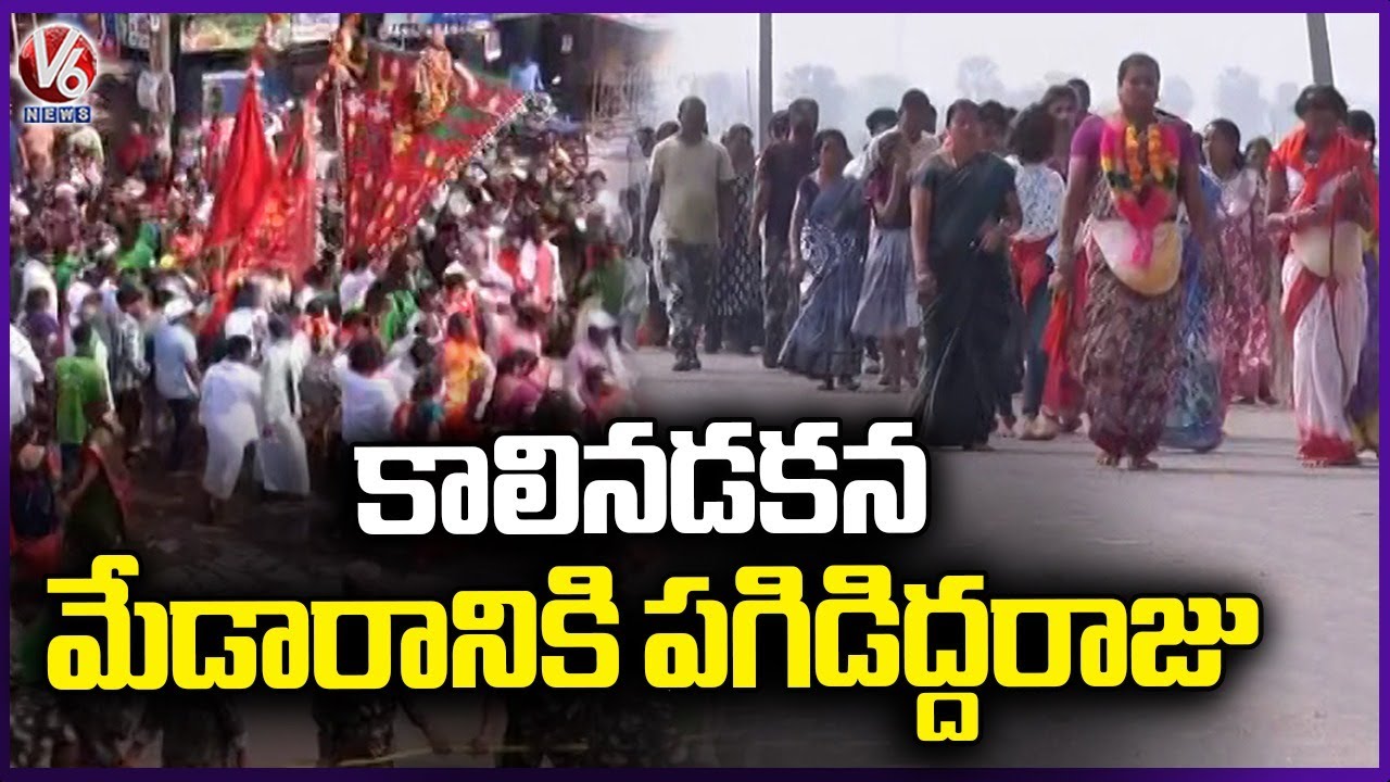 Pagididda Raju Journey To Medaram | Sammakka Saralamma Jatara 2026 | V6 News