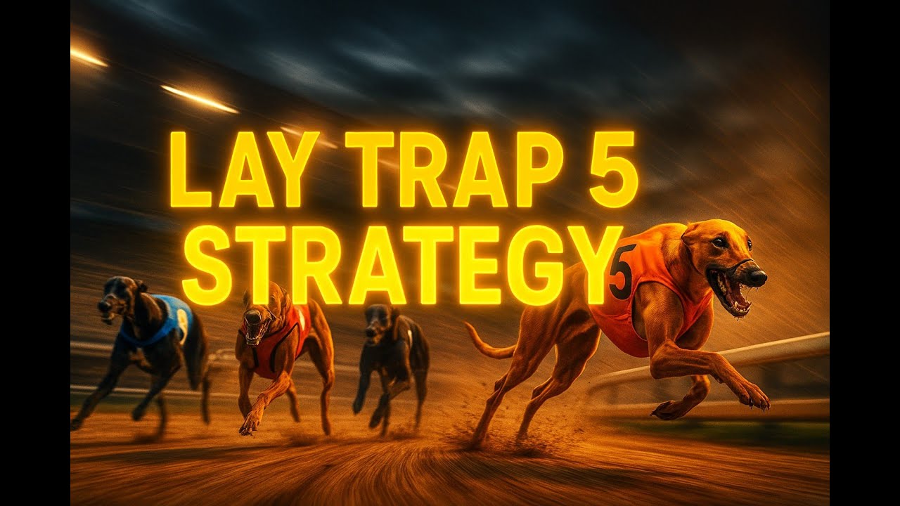 How I Automated Lay Bets in Greyhound Racing - Trap 5 Bot Strategy in Action
