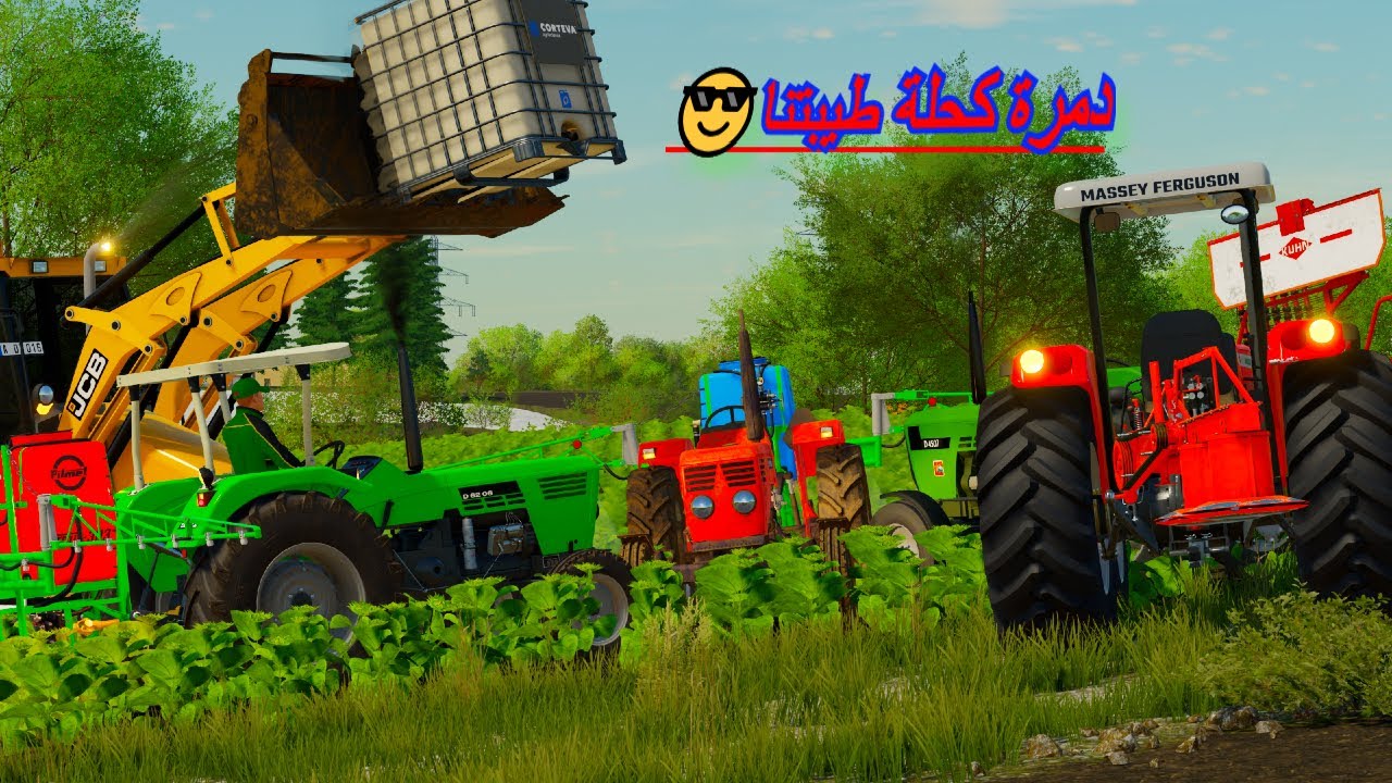 حصدنا انا ومحمد قطار تاع فصفصة وربطناه كانت غلة مشاءالله ودرنا دواء ل 🌻sunflower