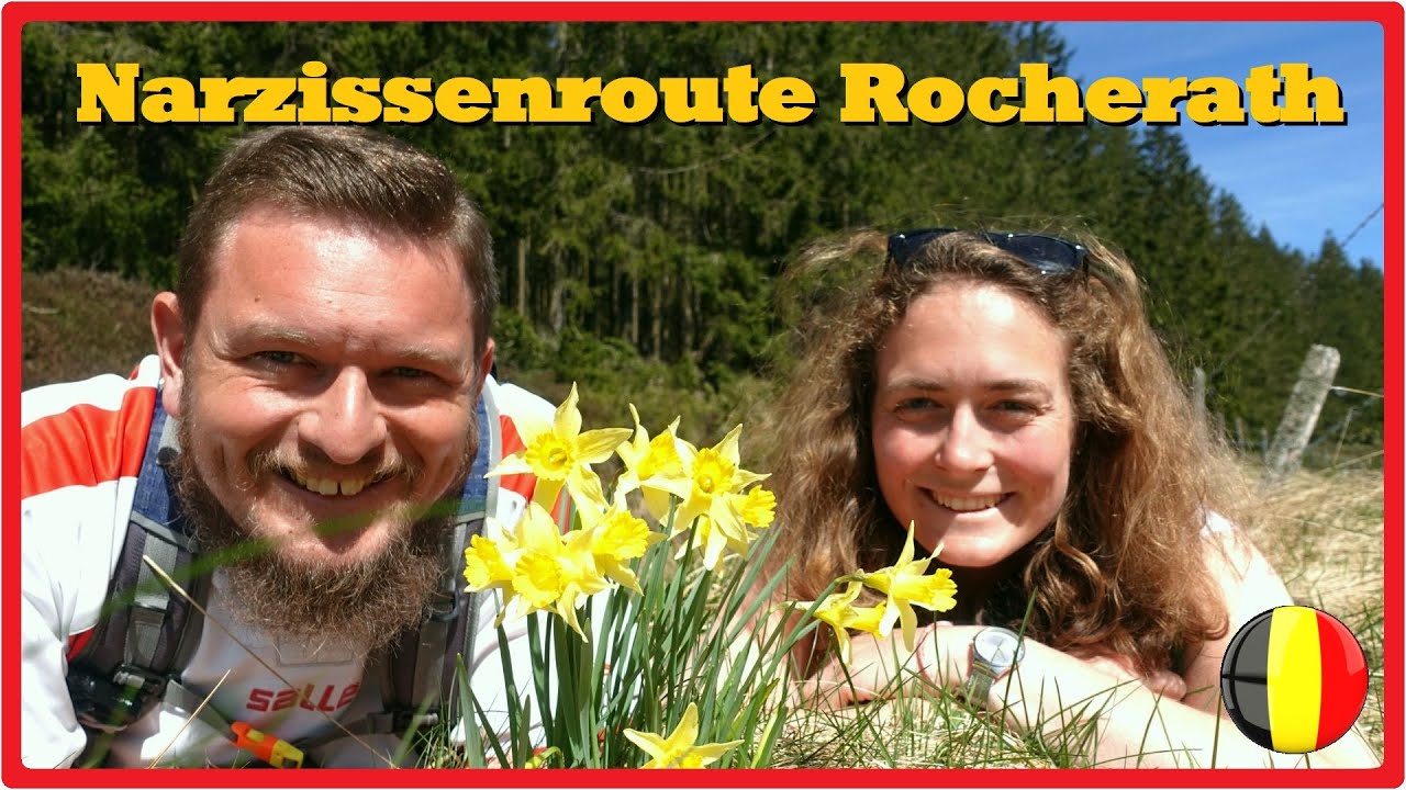 Narzissenroute Rocherath | Im Tal der Holzwarche | Naturpark Hohes Venn-Eifel 🇧🇪 [2,7K]