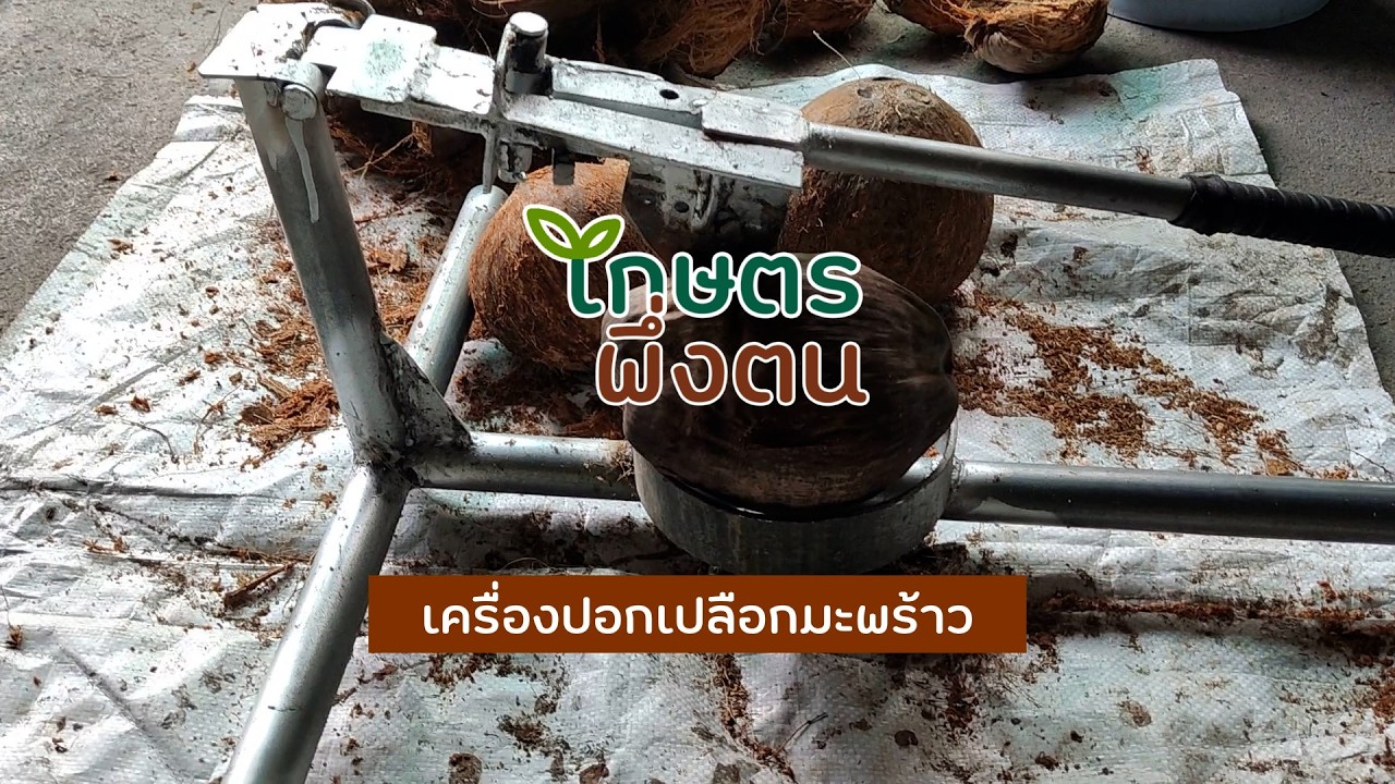 เกษตรพึ่งตน : เครื่องปอกเปลือกมะพร้าว