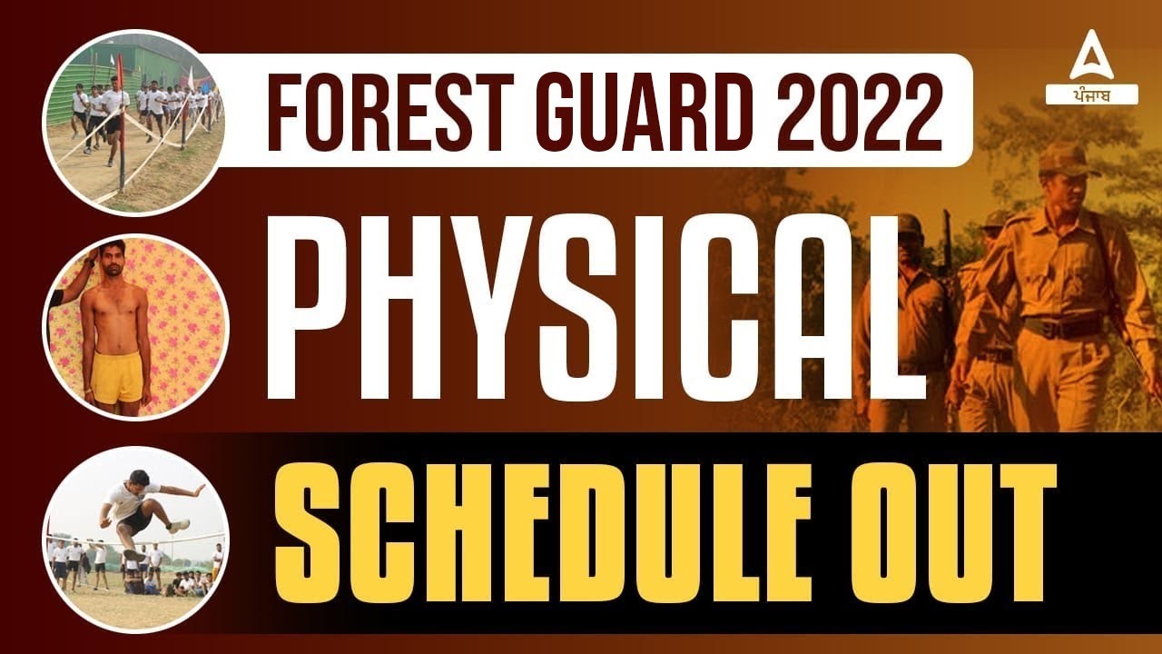 Punjab Forest Guard Physical Test 2023 | PSSSB Forest Guard Physical Test Details | Know Full Detail