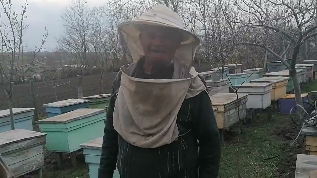 La 90 de ani, trăiește din apicultură.
