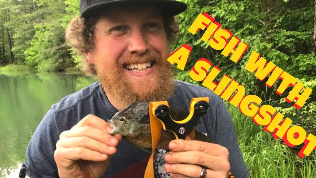 Fish with a slingshot Catch and cook