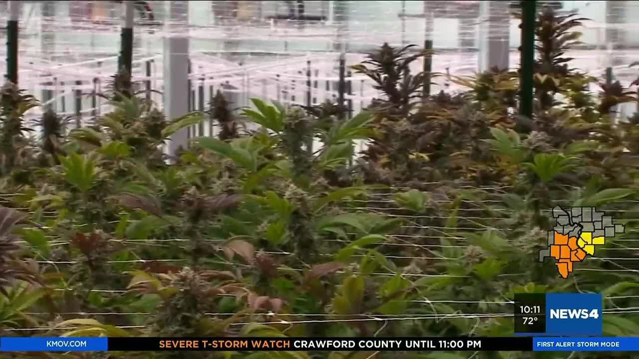 ‘We are fighting addictions’ Des Peres residents tell city they don’t want marijuana dispensaries...