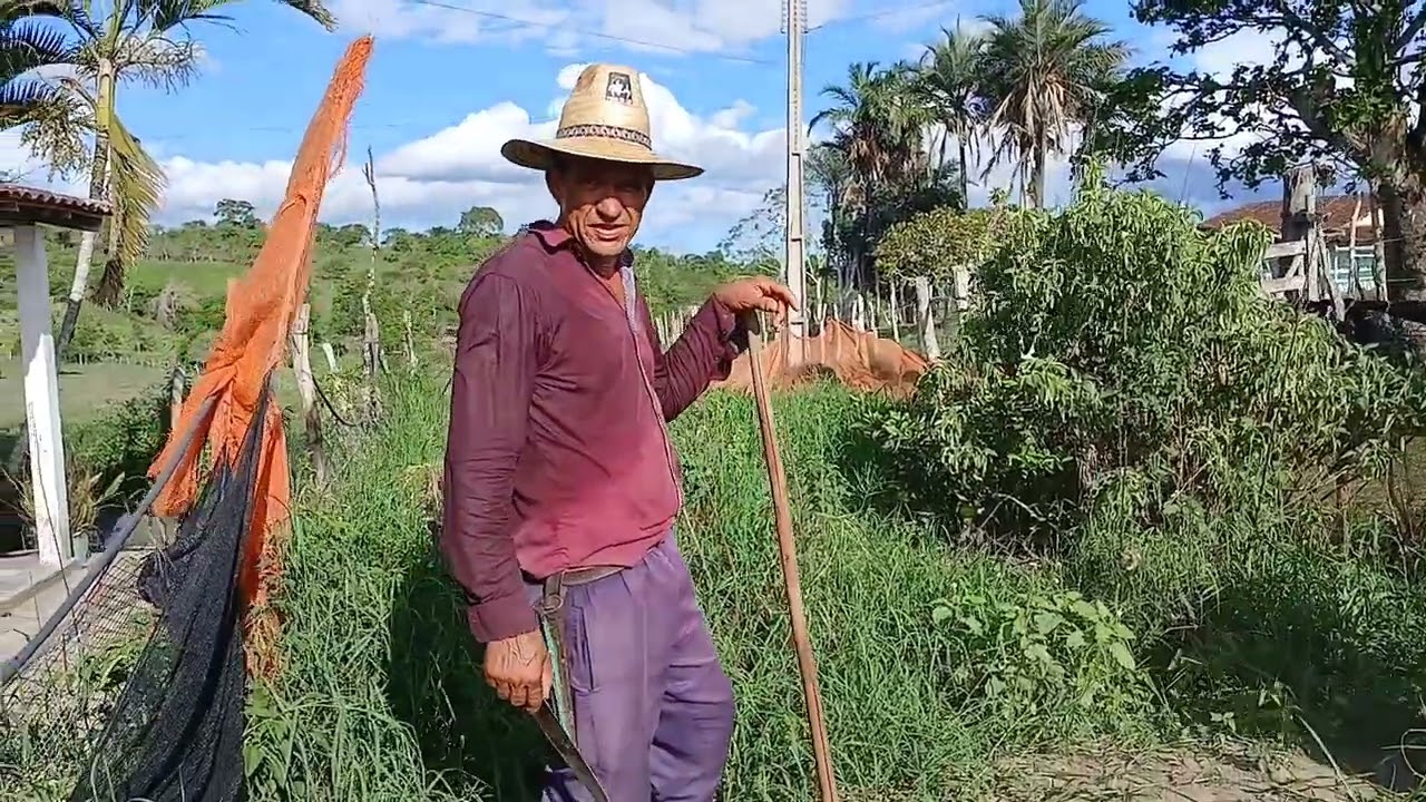 ESSE ANO MINHA NEGA NÃO PODE FAZER ESSE SERVIÇO/LLIDA NA ROÇA