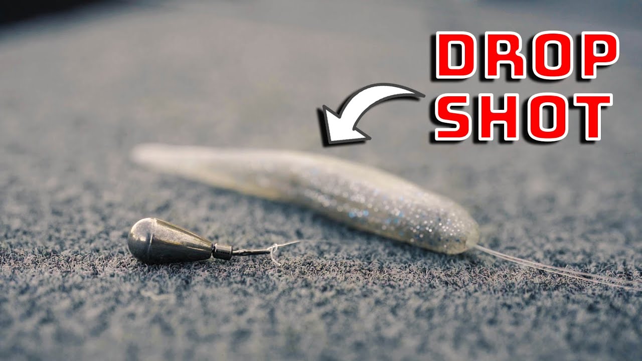 Drop Shot Fishing For EASY Big Bass Success!!