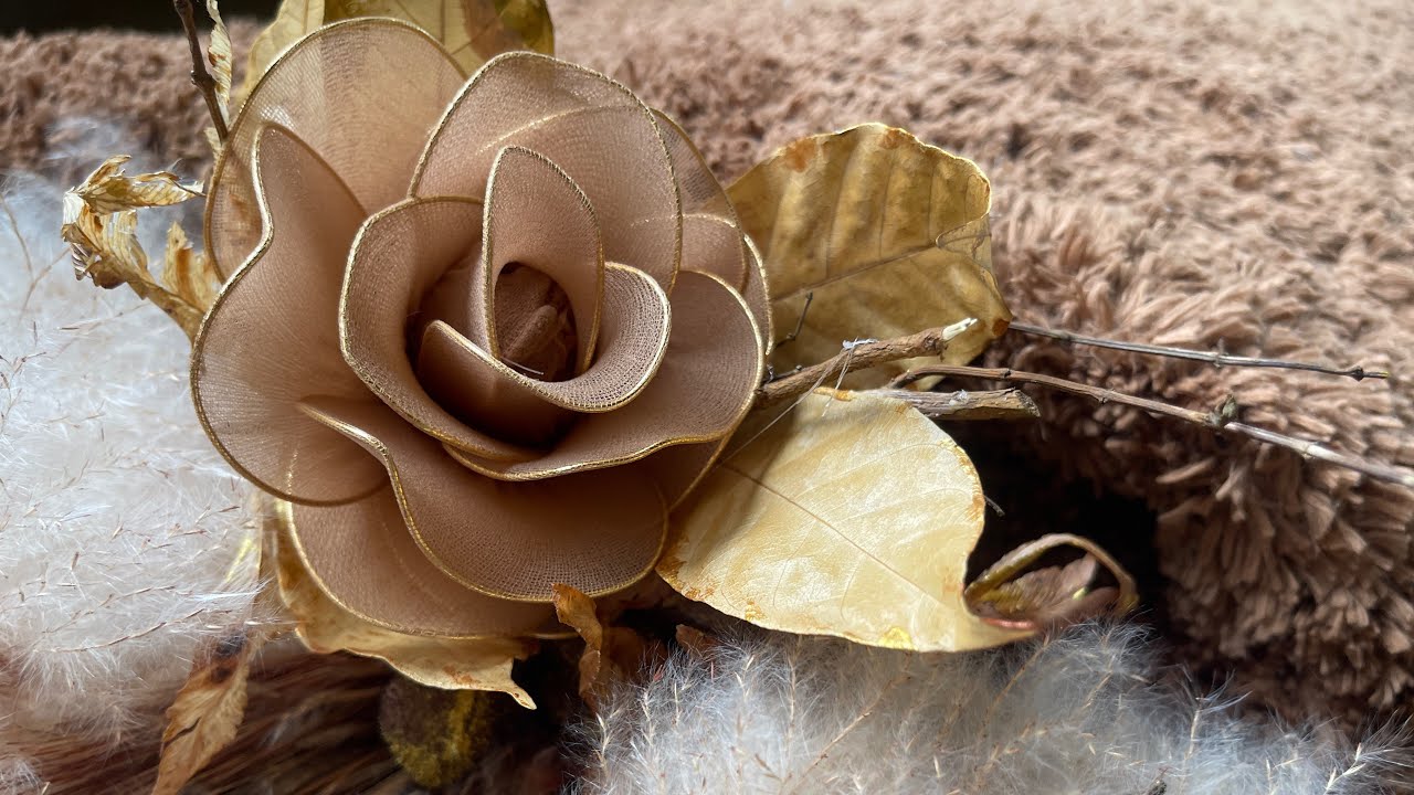 ROSAS DE MEIA FINA O QUE VOCÊ NÃO SABIA