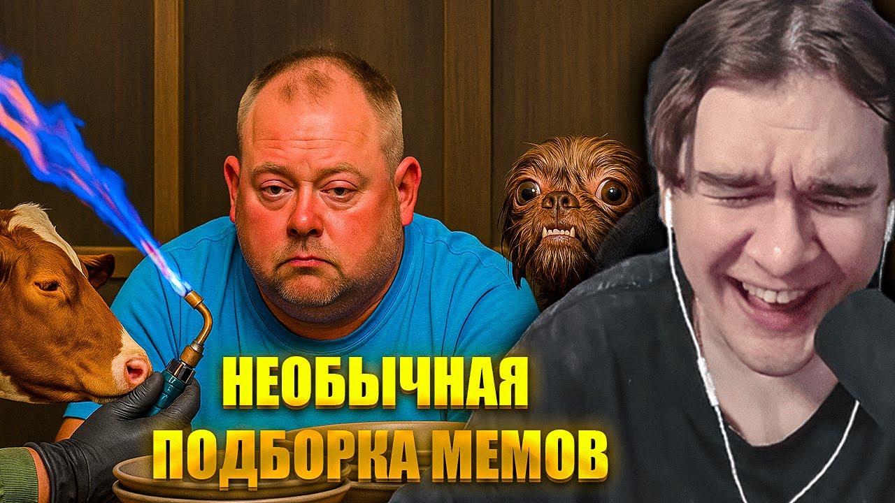 БРАТИШКИН СМОТРИТ UNUSUAL MEMES COMPILATION V323