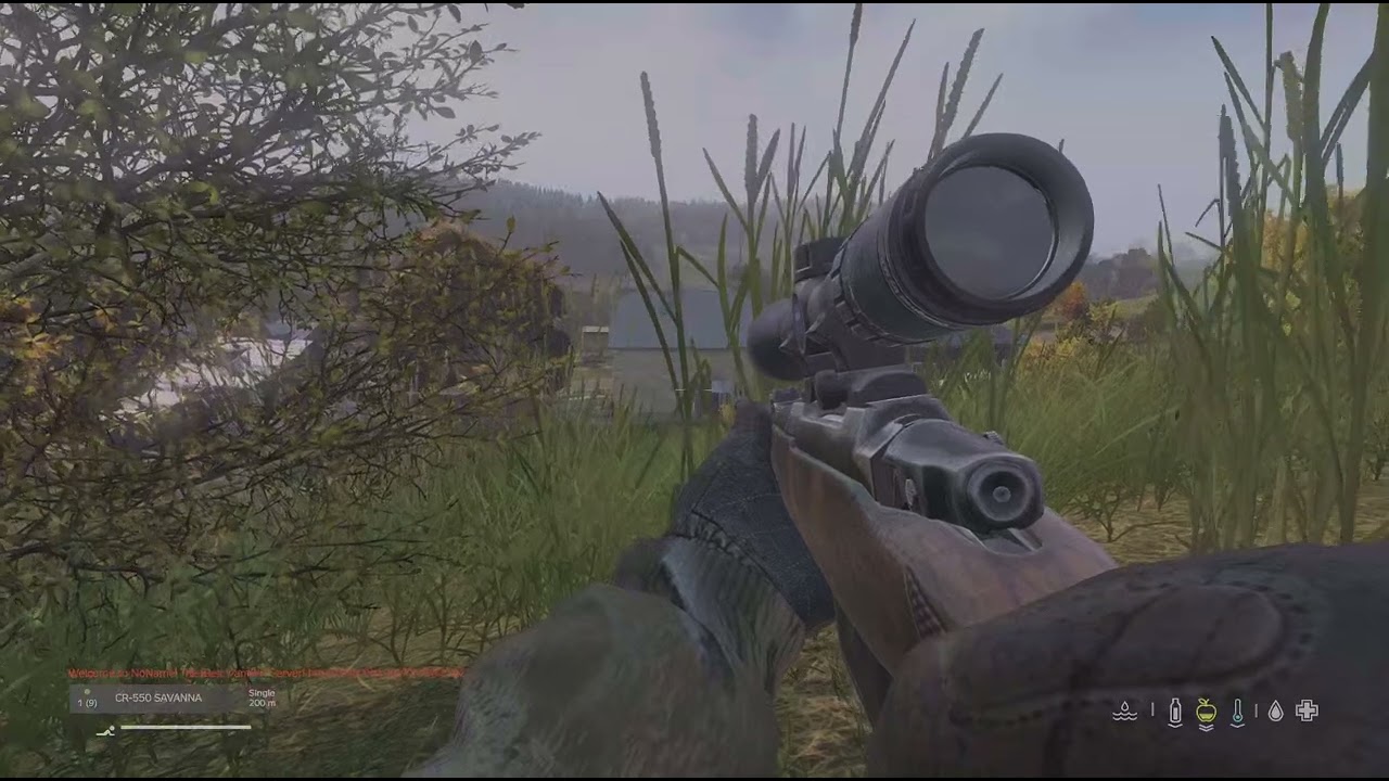 DayZ_20260207043248