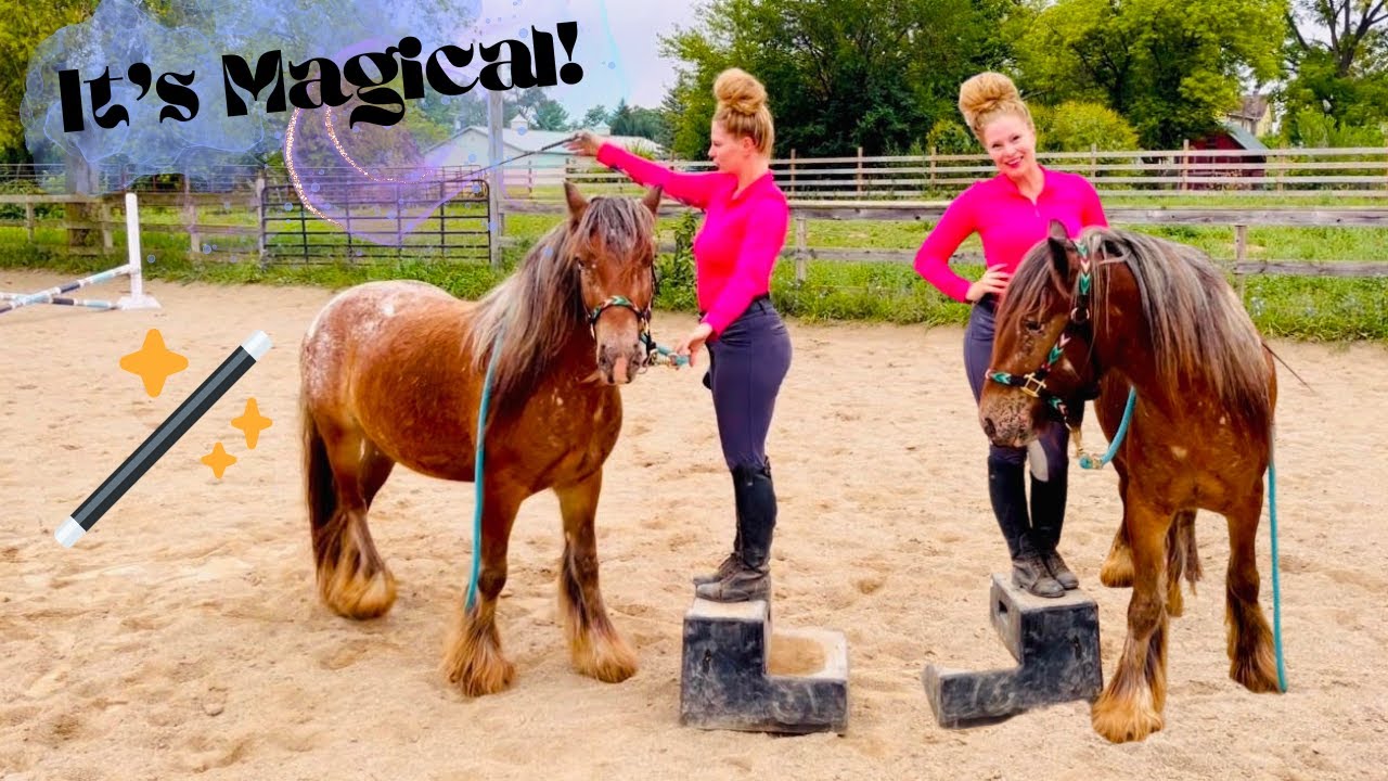 HOW TO LINE UP YOUR HORSE AT THE MOUNTING BLOCK