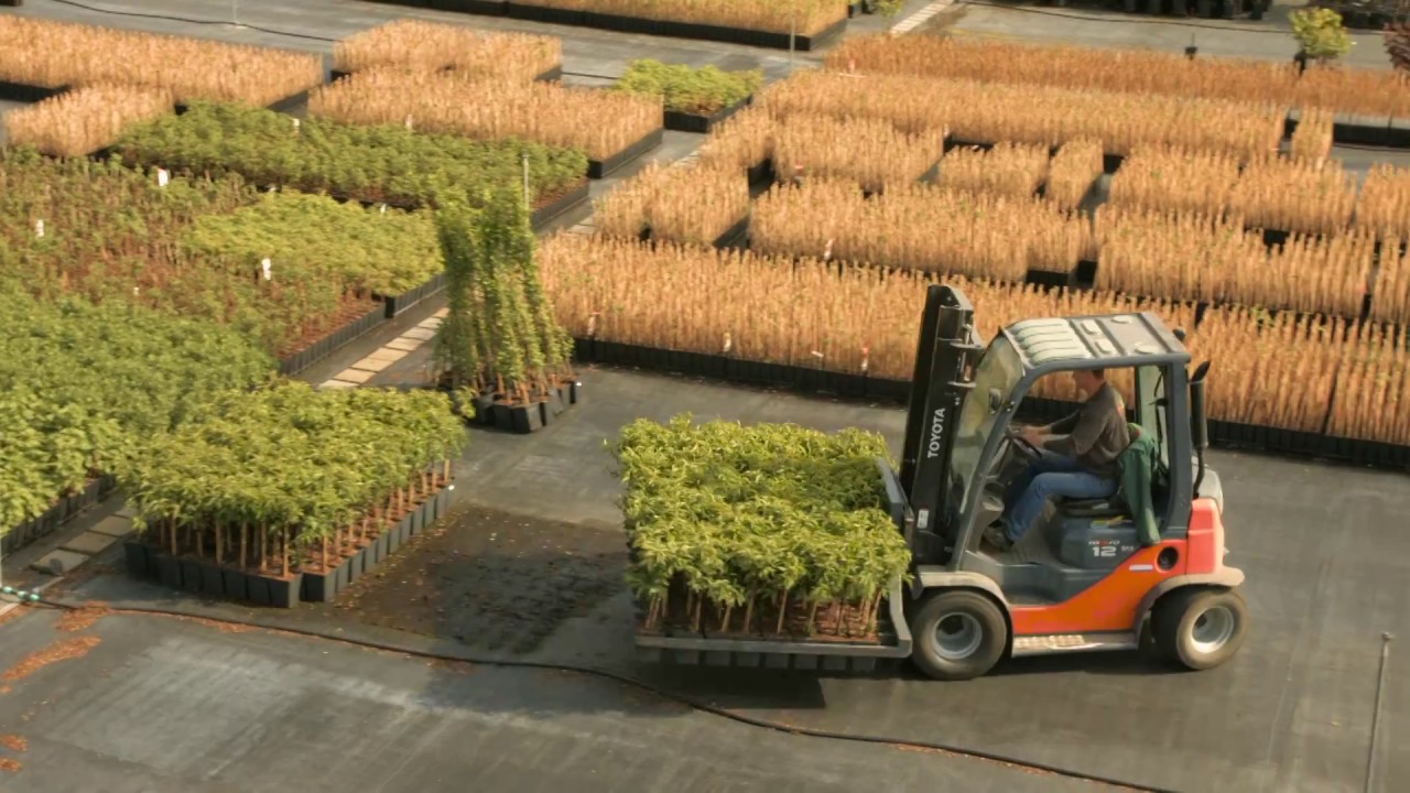 Fruithof - kwekerij fruitbomen en fruitplanten - bedrijfspresentatie