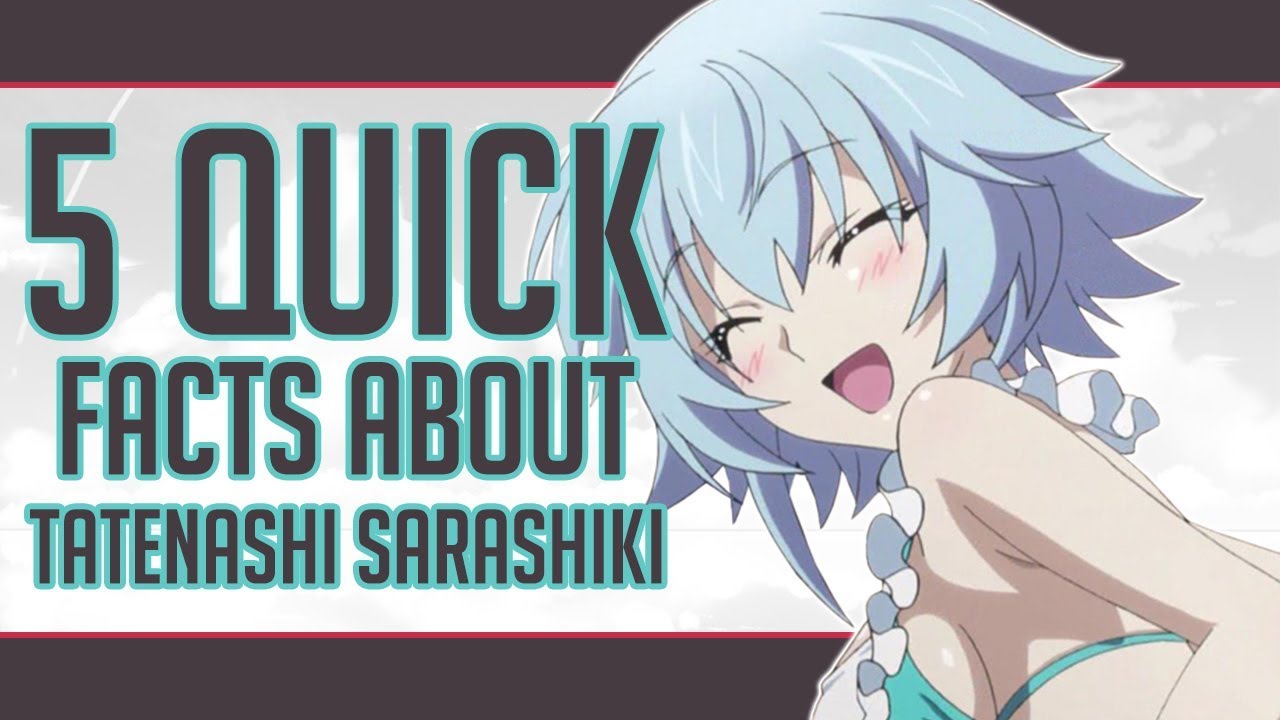 5 Quick Facts About Tatenashi Sarashiki - Infinite Stratos
