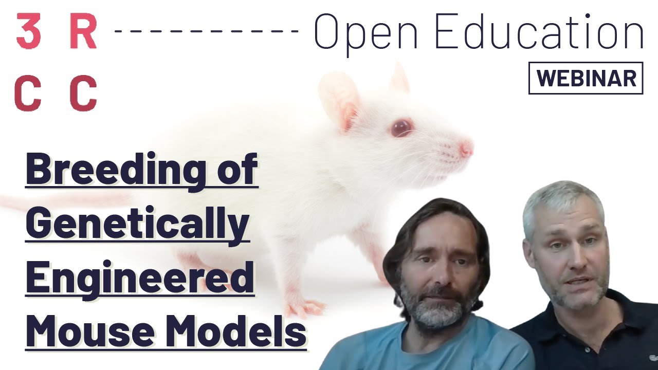 Breeding of Genetically Engineered Mouse Models by Daniel Breustedt and Filippo Gallegra
