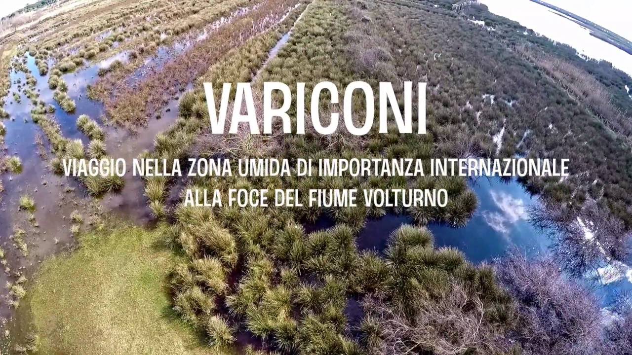 Variconi, viaggio nel sito di importanza internazionale alla foce del fiume Volturno