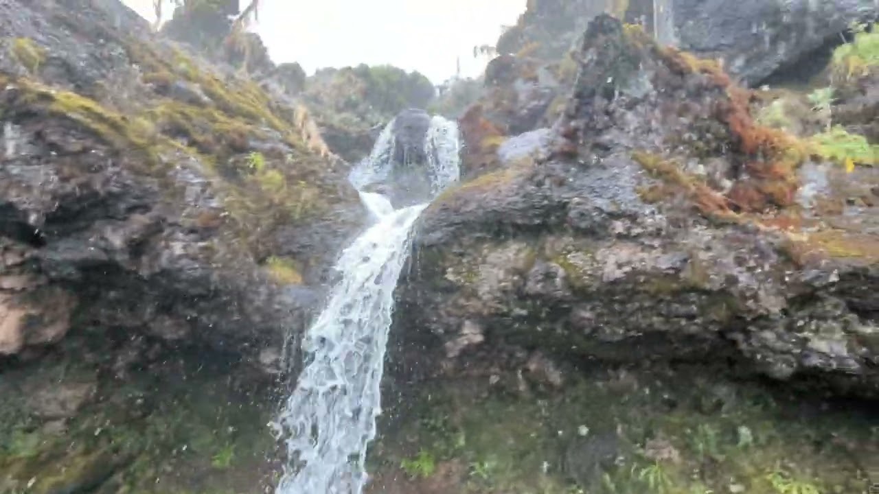 Bye Bye Stand behind the Waterfall | Shira Camp | Mount Kilimanjaro | The Roof of Africa | Day 2