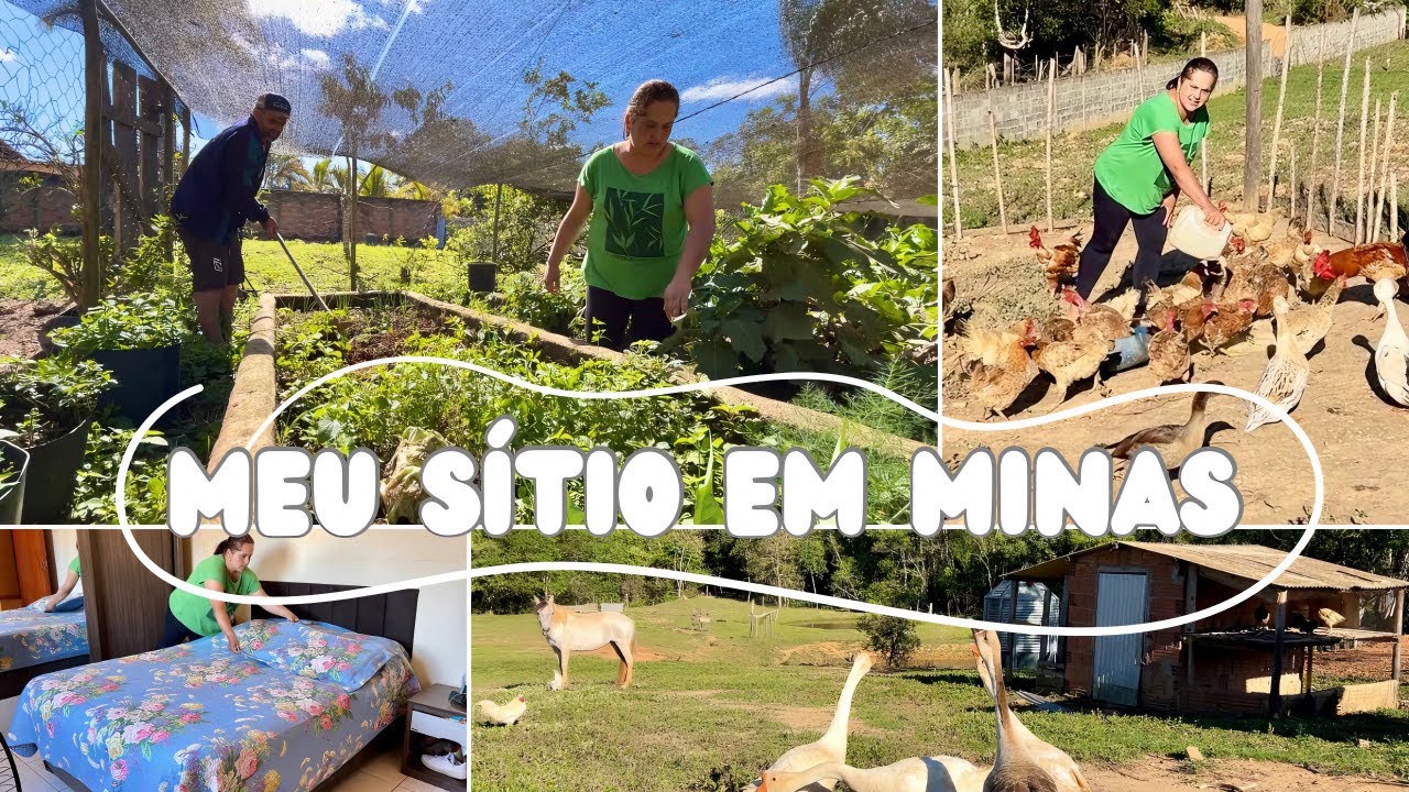 Rotina da Manhã: Carpindo a Horta👩‍🌾 Tratando dos Animais🐓 Organizando a Casa do Sítio🏡