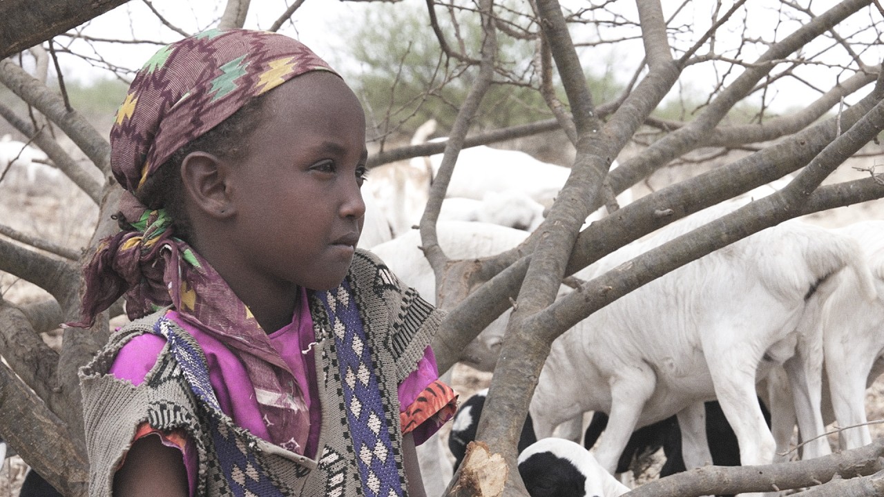 울타리 밖, 내쫓긴 아이들ㅣ해외 아동지원 캠페인