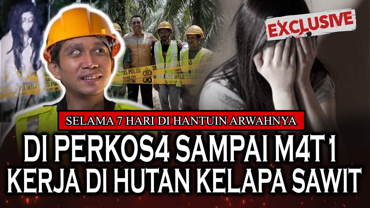 TOLONG VIRALKAN!! DIPERK0S4 SAMPE MENINGGAL!! ARWAH GENTAYANGAN PEKERJA KELAPA SAWIT DI KALIMANTAN