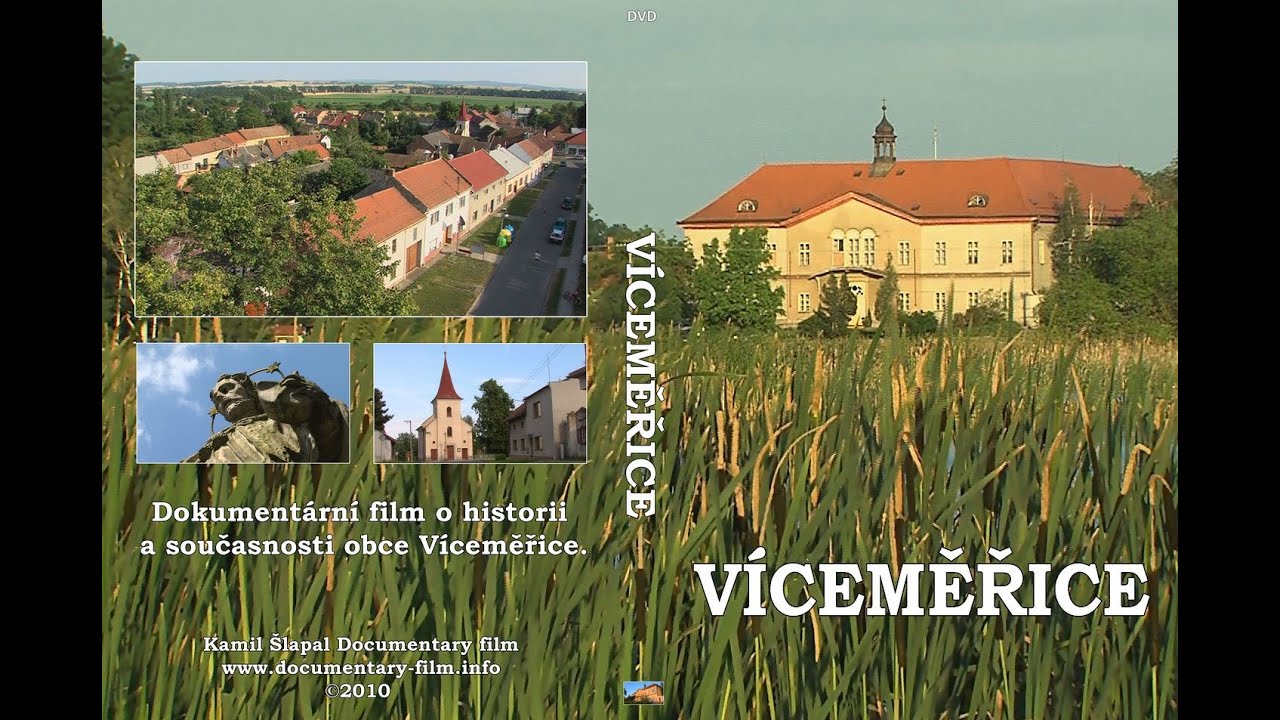 Víceměřice (2010)