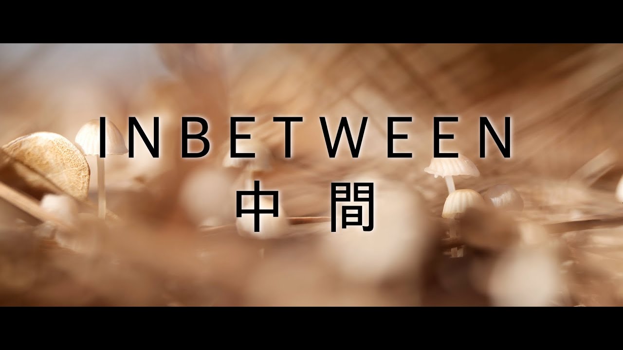 INBETWEEN  /  中 間